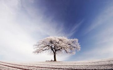 北方的雪作文5篇