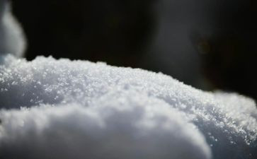 鲁迅雪读后感参考6篇