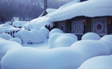 北方的雪作文优秀5篇