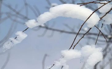 青雪工作总结最新7篇