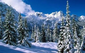 鲁迅雪读后感通用6篇