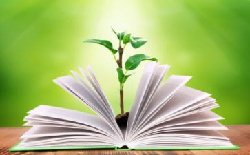 四年级语文组教学工作计划最新5篇