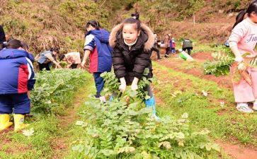 学农业学习心得体会7篇