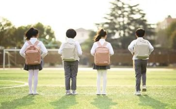 学生呢工作总结和工作计划最新8篇