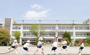 关于亲情的奥学生作文8篇