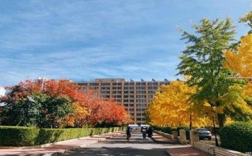 关于在学校的自我鉴定7篇