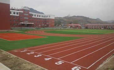 学校教师述职报告范文6篇