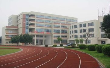 学校党务工作总结7篇