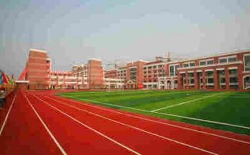 学习101学校的心得体会最新6篇
