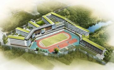 学校的工作总结和计划参考5篇