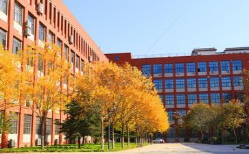 学校的工作心得体会6篇