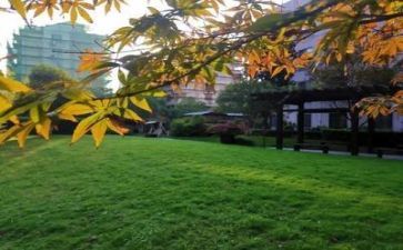 学校出培训工作计划参考5篇
