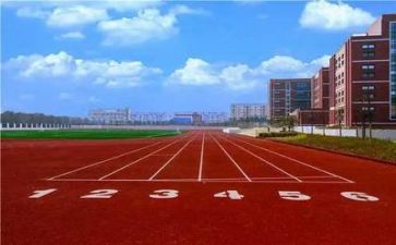 感学校的心得体会模板7篇