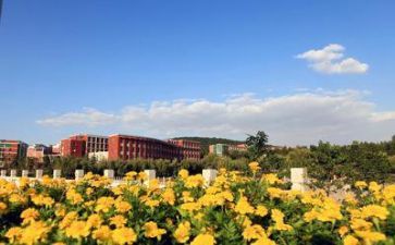 学校安全处心得体会参考7篇