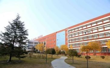 学校2024年工作总结及2024年工作计划8篇