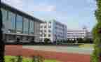 学校自查报告模板5篇