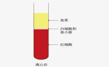 血液科的自我鉴定推荐7篇