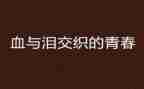 观看血与泪心得体会优秀6篇