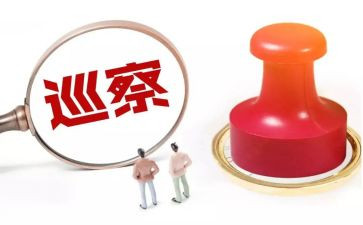 巡察干部述职述廉报告6篇
