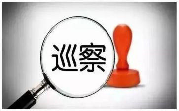 巡察工作促工作总结8篇