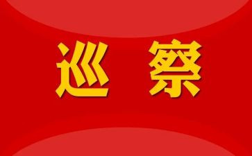 巡察干部述职述廉报告7篇
