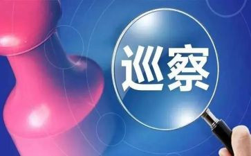 巡察组组长个人总结5篇