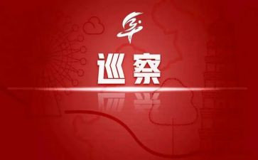 巡察工作促工作总结优质5篇