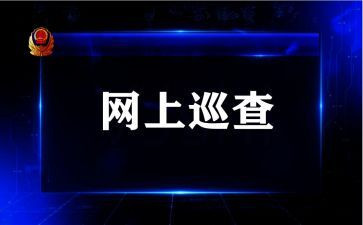 省安全巡查组工作总结6篇