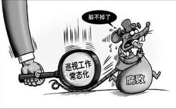 巡查工作总结6篇