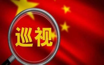 巡查组自查报告7篇