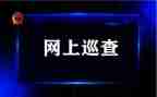 省安全巡查组工作总结6篇