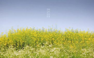 人叙事作文800字通用5篇