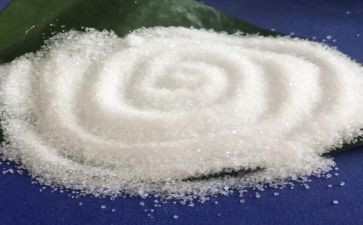 有趣的盐大班科学教案8篇
