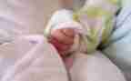 幼儿园小班水果宝宝教案7篇