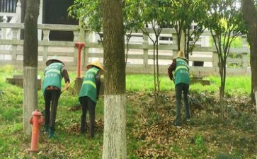 养护员述职报告5篇