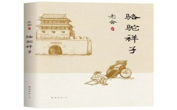 这才是该有的样子作文6篇