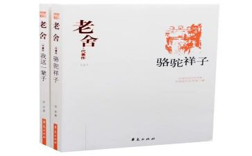 你的样子作文6篇