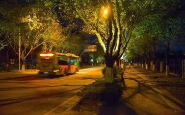 萤夜读读后感6篇