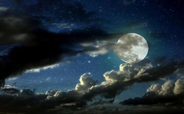 夜让我陶醉600字作文8篇