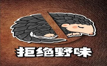 敬畏自然,拒绝野味的演讲稿8篇