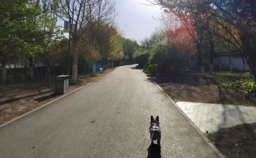工作总结下一步计划5篇