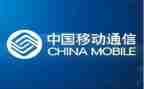 移动公司个人年终总结6篇