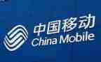 移动客户经理的工作总结5篇