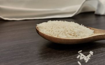 一粒米观后感6篇