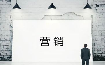 2024年营销个人总结精选5篇