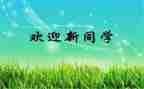 迎新活动总结优秀7篇