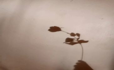 狗与影子读后感优质7篇