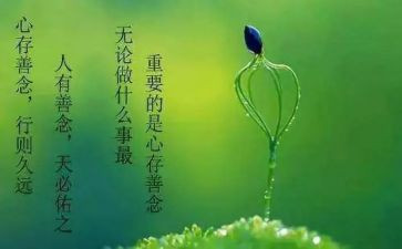 因与果的作文模板8篇