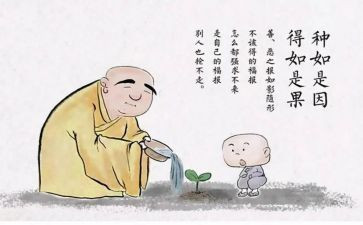 因与果的作文精选5篇