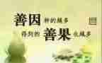 因与果的作文推荐8篇